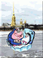 Заказать сайт