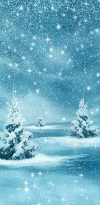 Веб-разработка. Заказать сайт